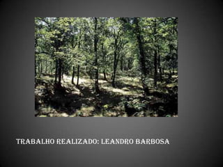 TRABALHO REALIZADO: Leandro Barbosa
 