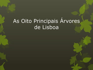 As Oito Principais Árvores
de Lisboa
 