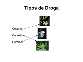 Tipos de Droga Cocaína Cannabis Heroína   