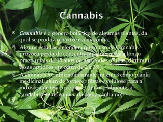 Cannabis  é o género botânico de algumas plantas, da qual se produz o haxixe e a maconha. Alguns estudos defendem que o uso da Cannabis provoca perda de concentração e memória a longo prazo (mais de 15 anos de uso, todos os dias, diminuiu essas aptidões em cerca de 2 a 3%). A cannabis foi utilizada durante milénios como planta medicinal, além de fornecer fibras e celulose para a indústria de tecidos e papel (industrialmente, a cannabis é mais conhecida como cânhamo). 