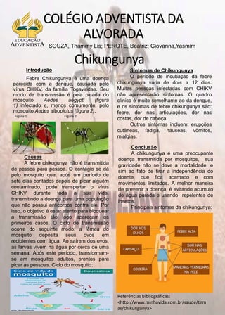 COLÉGIO ADVENTISTA DA
ALVORADA
Introdução
Febre Chikungunya é uma doença
parecida com a dengue, causada pelo
vírus CHIKV, da família Togaviridae. Seu
modo de transmissão é pela picada do
mosquito Aedes aegypti (figura
1) infectado e, menos comumente, pelo
mosquito Aedes albopictus (figura 2).
SOUZA, Thammy Lis; PEROTE, Beatriz; Giovanna,Yasmim
Causas
A febre chikugunya não é transmitida
de pessoa para pessoa. O contágio se dá
pelo mosquito que, após um período de
sete dias contados depois de picar alguém
contaminado, pode transportar o vírus
CHIKV durante toda a sua vida,
transmitindo a doença para uma população
que não possui anticorpos contra ele. Por
isso, o objetivo é estar atento para bloquear
a transmissão tão logo apareçam os
primeiros casos. O ciclo de transmissão
ocorre do seguinte modo: a fêmea do
mosquito deposita seus ovos em
recipientes com água. Ao saírem dos ovos,
as larvas vivem na água por cerca de uma
semana. Após este período, transformam-
se em mosquitos adultos, prontos para
picar as pessoas. Ciclo do mosquito:
Sintomas de Chikungunya
O período de incubação da febre
chikungunya varia de dois a 12 dias.
Muitas pessoas infectadas com CHIKV
não apresentarão sintomas. O quadro
clínico é muito semelhante ao da dengue,
e os sintomas de febre chikungunya são:
febre, dor nas articulações, dor nas
costas, dor de cabeça.
Outros sintomas incluem: erupções
cutâneas, fadiga, náuseas, vômitos,
mialgias.
Referências bibliográficas:
<http://www.minhavida.com.br/saude/tem
as/chikungunya>
Chikungunya
Conclusão
A chikungunya é uma preocupante
doença transmitida por mosquitos, sua
gravidade não se deve a mortalidade, e
sim ao fato de tirar a independência do
doente, que fica acamado e com
movimentos limitados. A melhor maneira
de prevenir a doença, é evitando acumulo
de água parada e usando repelentes de
insetos.
Principais sintomas da chikungunya:
Figura 1 Figura 2
 