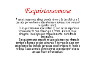 Esquistossomose A esquistossomose atinge grande número de brasileiros e é causado por um trematódeo chamado  Schistosoma mansoni  (esquistossomo).          Os esquistossomos apresentam os dois sexos separados, sendo o macho bem menor que a fêmea. A fêmea fina e alongada, fica alojada no corpo do macho, numa fenda longitudinal.          O esquistossomo parasita as veias do intestino, afetando também o fígado e as vias urinárias. A barriga de quem tem essa doença fica inchada por causa desalterações no fígado e no baço .Esses animais alimentam-se de sangue por isso as pessoas ficam enfraquecidas. 