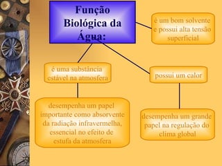 Função Biológica da Água:   é um bom solvente  e possui alta tensão  superficial é uma substância  estável na atmosfera desempenha um papel  importante como absorvente da radiação infravermelha,  essencial no efeito de  estufa da atmosfera possui um calor desempenha um grande  papel na regulação do  clima global 