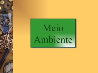Meio Ambiente 
