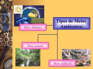 Tipos de Meios  Ambientes: Meio Abiótico Meio natural Meio artificial 