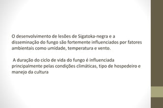 O desenvolvimento de lesões de Sigatoka-negra e a
disseminação do fungo são fortemente influenciados por fatores
ambientais como umidade, temperatura e vento.
A duração do ciclo de vida do fungo é influenciada
principalmente pelas condições climáticas, tipo de hospedeiro e
manejo da cultura
 