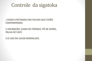 Controle da sigatoka
1.FAZER A RETIRADA DAS FOLHAS QUE ESTÃO
COMTAMINADA.
2.ADUBAÇÃO: CAMA DE FRONGO, PÓ DE SERRA,
PALHA DE CAFÉ.
3.O USO DA CALDA BORDALEZA.
 
