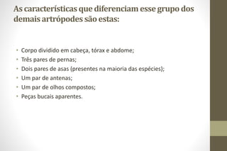 As características quediferenciam essegrupo dos
demaisartrópodes sãoestas:
• Corpo dividido em cabeça, tórax e abdome;
• Três pares de pernas;
• Dois pares de asas (presentes na maioria das espécies);
• Um par de antenas;
• Um par de olhos compostos;
• Peças bucais aparentes.
 