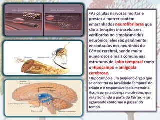 As células nervosas mortas e
prestes a morrer contém
emaranhados neurofibrilares que
são alterações intracelulares
verificadas no citoplasma dos
neurônios, eles são geralmente
encontrados nos neurônios do
Córtex cerebral, sendo muito
numerosos e mais comuns nas
estruturas do Lobo temporal como
o Hipocampo e amígdala
cerebrose.
Hipocampo é um pequeno órgão que
se encontra na localidade Temporal do
crânio e é responsável pela memória.
Assim surge a doença no cérebro, que
vai atrofiando a parte do Córtex e se
agravando conforme o passar do
tempo.
 