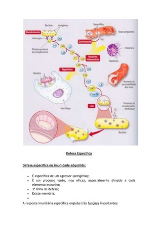 Defesa Específica
Defesa específica ou imunidade adquirida:
É específica de um agressor (antigénio);
É um processo lento, mas eficaz, especialmente dirigido a cada
elemento estranho;
3ª linha de defesa;
Existe memória.
A resposta imunitária específica engloba três funções importantes:
 