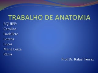 EQUIPE:
Carolina
Isadallete
Lorena
Lucas
Maria Luíza
Rênia
Prof.Dr. Rafael Ferraz
 