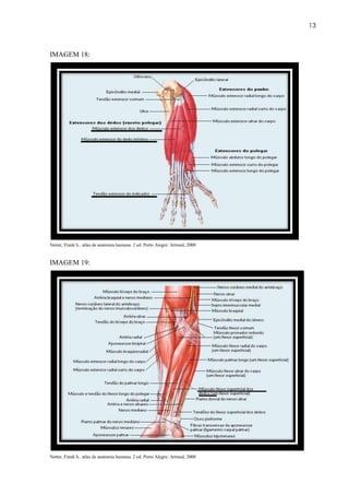 13



IMAGEM 18:




Netter, Frank h.. atlas de anatomia humana. 2 ed. Porto Alegre: Artmed, 2000


IMAGEM 19:




Netter, Frank h.. atlas de anatomia humana. 2 ed. Porto Alegre: Artmed, 2000
 