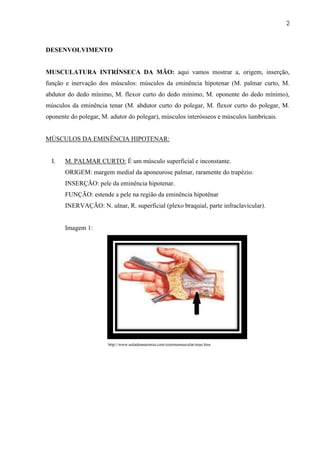 2



DESENVOLVIMENTO


MUSCULATURA INTRÍNSECA DA MÃO: aqui vamos mostrar a, origem, inserção,
função e inervação dos músculos: músculos da eminência hipotenar (M. palmar curto, M.
abdutor do dedo mínimo, M. flexor curto do dedo mínimo, M. oponente do dedo mínimo),
músculos da eminência tenar (M. abdutor curto do polegar, M. flexor curto do polegar, M.
oponente do polegar, M. adutor do polegar), músculos interósseos e músculos lumbricais.


MÚSCULOS DA EMINÊNCIA HIPOTENAR:


  I.   M. PALMAR CURTO: É um músculo superficial e inconstante.
       ORIGEM: margem medial da aponeurose palmar, raramente do trapézio.
       INSERÇÃO: pele da eminência hipotenar.
       FUNÇÃO: estende a pele na região da eminência hipotênar
       INERVAÇÃO: N. ulnar, R. superficial (plexo braquial, parte infraclavicular).


       Imagem 1:




                       http://www.auladeanatomia.com/sistemamuscular/mao.htm
 