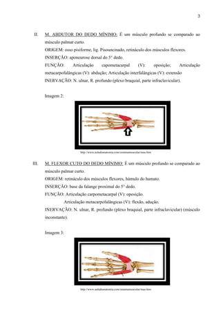3



 II.   M. ABDUTOR DO DEDO MÍNIMO: É um músculo profundo se comparado ao
       músculo palmar curto.
       ORIGEM: osso pisiforme, lig. Pisouncinado, retináculo dos músculos flexores.
       INSERÇÃO: aponeurose dorsal do 5° dedo.
       FUNÇÃO:         Articulação          capometacarpal             (V):         oposição;   Articulação
       metacarpofalângicas (V): abdução; Articulação interfalângicas (V): extensão
       INERVAÇÃO: N. ulnar, R. profundo (plexo braquial, parte infraclavicular).


       Imagem 2:




                            http://www.auladeanatomia.com/sistemamuscular/mao.htm


III.   M. FLEXOR CUTO DO DEDO MÍNIMO: É um músculo profundo se comparado ao
       músculo palmar curto.
       ORIGEM: retináculo dos músculos flexores, hámulo do hamato.
       INSERÇÃO: base da falange proximal do 5° dedo.
       FUNÇÃO: Articulação carpometacarpal (V): oposição.
                   Articulação metacarpofalângicas (V): flexão, adução.
       INERVAÇÃO: N. ulnar, R. profundo (plexo braquial, parte infraclavicular) (músculo
       inconstante).


       Imagem 3:




                            http://www.auladeanatomia.com/sistemamuscular/mao.htm
 