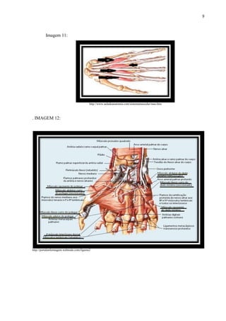 9



          Imagem 11:




                                           http://www.auladeanatomia.com/sistemamuscular/mao.htm



. IMAGEM 12:




http://portalenfermagem.webnode.com/figuras2
 