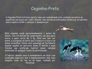 Biografia.IntroduçãoNesta apresentação vamos falar do tema da biodiversidade na Península Ibérica.
