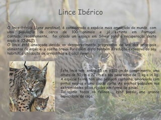 Fauna da Península Ibérica.