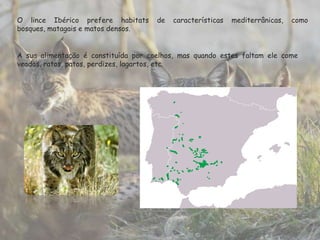 RaposaA raposa (Vulpesvulpes) está presente praticamente em todo o mundo, em Portugal pode ser encontrada em todo o território continental, apesar de ser difícil de a observar nas vilas e cidades.Este mamífero adapta-se aos diversos habitats incluindo as regiões urbanizadas, mas ocupa especialmente  matagais, florestas e campos agrícolas.Tem um comprimento de 58 a 90 cm, a cor é geralmente castanho-avermelhada podendo variar, a cauda é comprida, chegando aos 48 cm e espessa. Pode pesar de 6 a 10 kg e viver até aos 10 anos. Tem, sobretudo, actividade nocturna, mas pode ser diurna em locais isolados. Vive em grupos constituídos por um macho adulto e várias fêmeas. Efectuam marcações odoríferas com urinas e excrementos deixados em locais muito visitados. A raposa alimenta-se do que houver disponível, consome roedores, aves, besouros, ovos e minhocas. É também necrófaga, alimentando-se, por exemplo, de comidas para aves, estrume e lixo. Tem o hábito de “matar em excesso”, quando entra em locais em que as presas não podem fugir, como nos galinheiros. Quando tal acontece, esconde as presas, encontrando-as mais tarde graças à sua extraordinária memória.