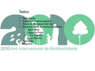 Índice Introdução.