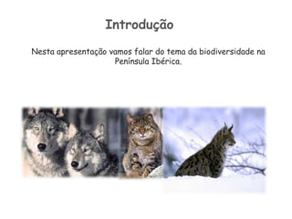  O que é a biodiversidade?