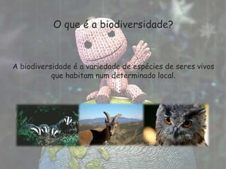 Fauna da Península Ibérica.