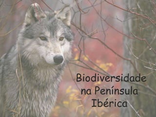 Biodiversidade na Península Ibérica 