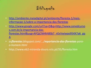 Bibliografiahttp://ambiente.maiadigital.pt/ambiente/floresta-1/mais-informacao-1/sobre-a-importancia-das-florestashttp://www.google.com/url?sa=D&q=http://www.cenedcursos.com.br/a-importancia-das-florestas.html&usg=AFQjCNHhh8Sb7_nExVwiwao954X7a6_gqAasflorestas.blogspot.com/.../mportancia-das-florestas-para-o-homem.htmlhttp://www.eb2-miranda-douro.rcts.pt/35/floresta.htm