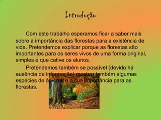 IntroduçãoCom este trabalho esperamos ficar a saber mais sobre a importância das florestas para a existência de vida. Pretendemos explicar porque as florestas são importantes para os seres vivos de uma forma original, simples e que cative os alunos.		Pretendemos também se possível (devido há ausência de informação) mostrar também algumas espécies de árvores e a sua importância para as florestas.