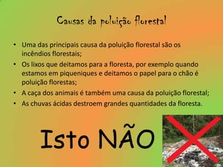 Causas da poluição florestalUma das principais causa da poluição florestal são os incêndios florestais;Os lixos que deitamos para a floresta, por exemplo quando estamos em piqueniques e deitamos o papel para o chão é poluição florestas;A caça dos animais é também uma causa da poluição florestal;As chuvas ácidas destroem grandes quantidades da floresta.Isto NÃO