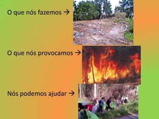 O que nós fazemos O que nós provocamos Nós podemos ajudar  