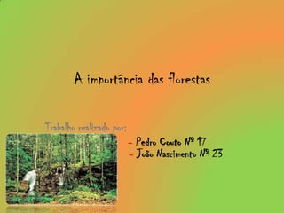 A importância das florestas Trabalho realizado por:  - Pedro Couto Nº 17		                      -João Nascimento Nº 23  