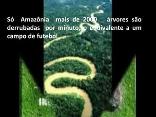 Só Amazônia mais de 2000 árvores são 
derrubadas por minuto, o equivalente a um 
campo de futebol. 
 