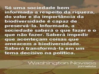 Atividade final PowerPoint - Turma ADM 07 - CEBRAC