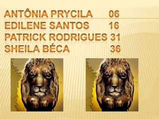  Antônia prycila      06Edilene santos       16 Patrick rodrigues 31  Sheila béca               36