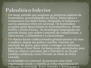 Foi nesse período que surgiram as primeiras espécies de hominídeos, provavelmente na África. Nesta época a temperatura era muito baixa, obrigando os humanos e outros animais a viver em cavernas. Os hominídeos surgidos nesta época foram os  Australopithecus ,  Homo habilis  e  Homo erectus  . As tecnologias empregadas no período foram, por ordem crescente de complexidade, a olduvaiense, a acheulense e a clactoniense. Os objetos foram confeccionados primeiramente em osso e madeira, depois em pedra e marfim. Usavam um machado de pedra, para cortar e esmagar os alimentos, para defesa e fazer furos. As lascas eram aproveitadas para fabricar objetos cortantes, daí o Paleolítico ter ficado também conhecido como  Período  ou  Idade da Pedra Lascada . A sociedade era comunal, já possuiam uma certa organização social e a família já tinha importância no contexto da sociedade. Eram nômades e dominaram o fogo. 