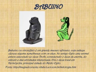 BABUINOBabuino ou cinocéfalo é um grande macaco africano, cuja cabeça oferece alguma semelhança com os cães. No antigo Egito este animal estava associado ao deus Thoth, considerado o deus da escrita, do cálculo e das atividades intelectuais. Era o deus local em Hermópolis, principal cidade do Médio Egito.Fonte: http://magiadooriente.vilabol.uol.com.br/mitologia.htm