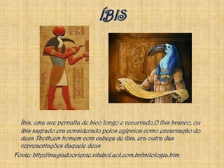 ÍBISÍbis, uma ave pernalta de bico longo e recurvado.O íbis branco, ou íbis sagrado era considerado pelos egípcios como encarnação do deus Thoth,um homem com cabeça de íbis, era outra das representações daquele deusFonte: http://magiadooriente.vilabol.uol.com.br/mitologia.htm