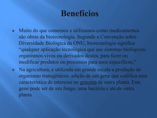 Benefícios
 Muito do que comemos e utilizamos como medicamentos
são obras da biotecnologia. Segundo a Convenção sobre
Diversidade Biológica da ONU, biotecnologia significa
“qualquer aplicação tecnológica que use sistemas biológicos,
organismos vivos ou derivados destes, para fazer ou
modificar produtos ou processos para usos específicos.”
 Na agricultura, é utilizada em grande escala a produção de
organismo transgênicos: adição de um gene que codifica uma
característica de interesse no genoma de outra planta. Este
gene pode ser de um fungo, uma bactéria e até de outra
planta.
 