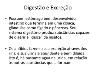 Digestão e Excreção 
• Possuem estômago bem desenvolvido, 
intestino que termina em uma cloaca, 
glândulas como fígado e pâncreas. Seu 
sistema digestório produz substâncias capazes 
de digerir a "casca" de insetos. 
• Os anfíbios fazem a sua excreção através dos 
rins, e sua urina é abundante e bem diluída, 
isto é, há bastante água na urina, em relação 
às outras substâncias que a formam. 
 