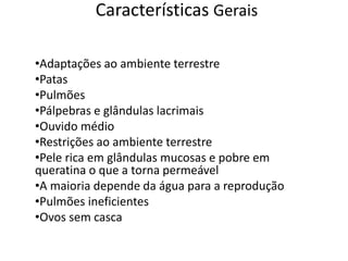 Características Gerais 
•Adaptações ao ambiente terrestre 
•Patas 
•Pulmões 
•Pálpebras e glândulas lacrimais 
•Ouvido médio 
•Restrições ao ambiente terrestre 
•Pele rica em glândulas mucosas e pobre em 
queratina o que a torna permeável 
•A maioria depende da água para a reprodução 
•Pulmões ineficientes 
•Ovos sem casca 
 