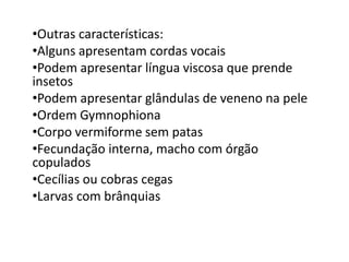 •Outras características: 
•Alguns apresentam cordas vocais 
•Podem apresentar língua viscosa que prende 
insetos 
•Podem apresentar glândulas de veneno na pele 
•Ordem Gymnophiona 
•Corpo vermiforme sem patas 
•Fecundação interna, macho com órgão 
copulados 
•Cecílias ou cobras cegas 
•Larvas com brânquias 
 