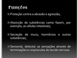  Proteção contra a abrasão e agressão;
 Absorção de substâncias como fazem, por
exemplo, as células intestinais;
 Secreção de muco, hormônios e outras
substâncias;
 Sensorial, detectar as sensações através de
terminações e corpúsculos do tecido nervoso.
 
