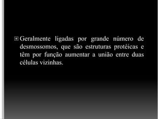  Geralmente ligadas por grande número de
desmossomos, que são estruturas protéicas e
têm por função aumentar a união entre duas
células vizinhas.
 