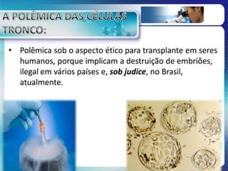 • Polêmica sob o aspecto ético para transplante em seres
humanos, porque implicam a destruição de embriões,
ilegal em vários países e, sob judice, no Brasil,
atualmente.
 