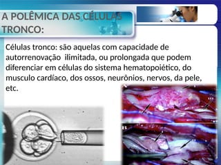 A POLÊMICA DAS CÉLULAS
TRONCO:
Células tronco: são aquelas com capacidade de
autorrenovação ilimitada, ou prolongada que podem
diferenciar em células do sistema hematopoiético, do
musculo cardíaco, dos ossos, neurônios, nervos, da pele,
etc.
 
