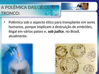 A POLÊMICA DAS CÉLULAS
TRONCO:
• Polêmica sob o aspecto ético para transplante em seres
humanos, porque implicam a destruição de embriões,
ilegal em vários países e, sob judice, no Brasil,
atualmente.
 