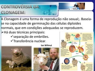 A Clonagem é uma forma de reprodução não sexual;. Baseia-
se na capacidade de germinação das células diploides
normais, que em condições adequadas se reproduzem.
Há duas técnicas principais:
separação de embriões.
Transferência nuclear.
Ian Wilmut
 