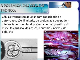 Células tronco: são aquelas com capacidade de
autorrenovação ilimitada, ou prolongada que podem
diferenciar em células do sistema hematopoiético, do
musculo cardíaco, dos ossos, neurônios, nervos, da
pele, etc.
 
