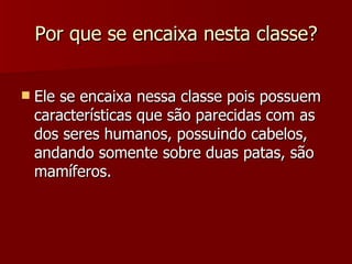 Por que se encaixa nesta classe? Ele se encaixa nessa classe pois possuem características que são parecidas com as dos seres humanos, possuindo cabelos, andando somente sobre duas patas, são mamíferos. 