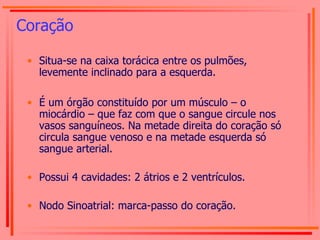 Coração Situa-se na caixa torácica entre os pulmões, levemente inclinado para a esquerda. É um órgão constituído por um músculo – o miocárdio – que faz com que o sangue circule nos vasos sanguíneos. Na metade direita do coração só circula sangue venoso e na metade esquerda só sangue arterial. Possui 4 cavidades: 2 átrios e 2 ventrículos. Nodo Sinoatrial: marca-passo do coração. 